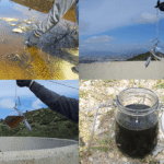 discarica-castelluccio-battipaglia-movimento-5-stelle