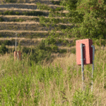 movimento-5-stelle-battipaglia-discarica-grataglie
