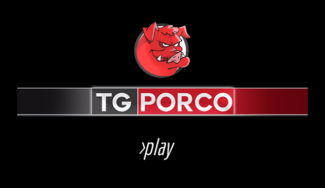 tg porco sabina guzzanti angelo tofalo