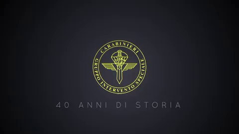 gruppo intervento speciale gis