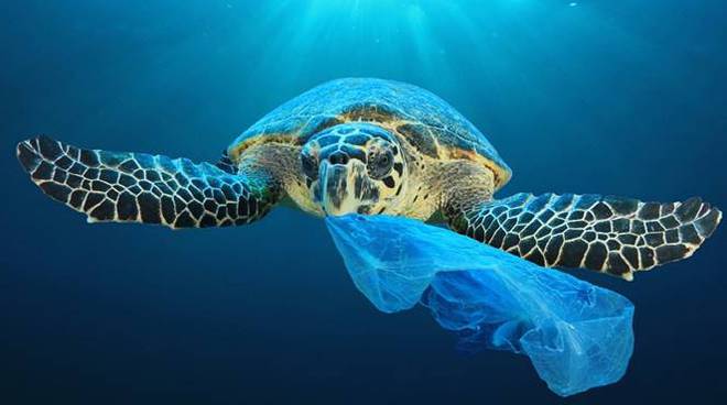 marina militare plastica mare