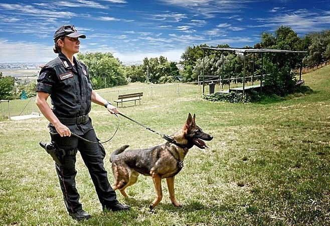 Adozioni-e-assistenza-veterinaria-per-i-cani-militari-e-novità-dalla-Difesa