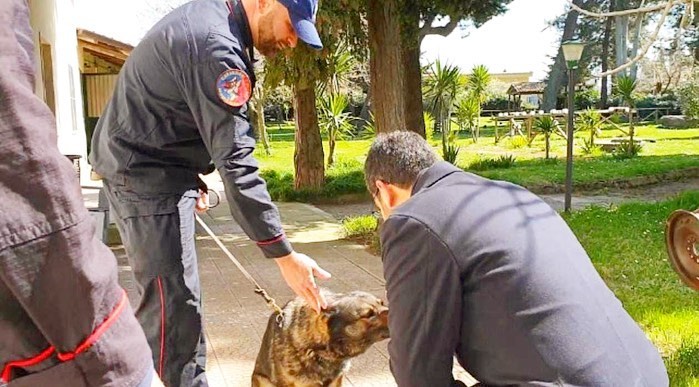 Il Sottosegretario di Stato alla Difesa Angelo Tofalo accarezza cane militare