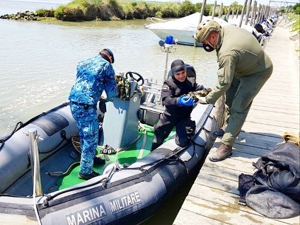 Artificieri Esercito e Marina protagonisti di un’importante attività di bonifica di ordigni bellici (8)